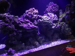 Amateur, Rubia, Coche, Vestido, Penetracion con dedos, Novia, Orgasmo, Al aire libre