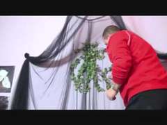 Gorda, Polla, Abuelita, Maduro