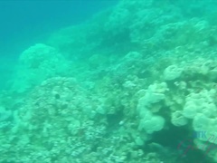 素人, フェラチオ, 中出し, 彼女, 手コキする, オーガズム, アウトドア, 公共