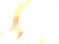 Anaal, Lieveling, Lul, Vies, Dubbele penetratie, Reusachtig