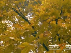 素人, フェラチオ, ドイツ人, ホテル, 淫乱熟女, アウトドア, 公共, 現実