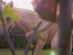 Oudere vrouw, Ondergoed, Moeder die ik wil neuken, Moeder, Buiten, Roodharige vrouw, Alleen