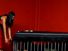 Sadomasochismus, Fesselspiele, Weibliche domination, Pov, Hintern versohlen