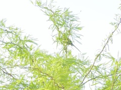 Extrem, Fetisch, Fußfetisch, Massage, Masturbation, Orgasmus, Öffentlich, Solo