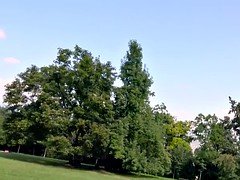 ブロンド, ハメ撮り, 公共