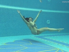 Grote kont, Grote mammen, Bruinharig, Hd, Hongaars, Biljart, Tieten likken, Onderwater