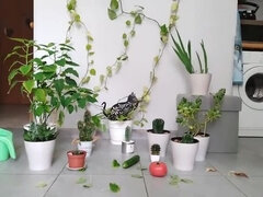 Skinny Russian Mom with Big Saggy Tits Gets Garbage Orgasm - Extreme Food Fuck & Squirting in Kitchen