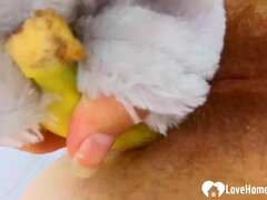 Amateur, En gros plan de très près, Poilue, Fait maison, Masturbation, Chatte, Solo