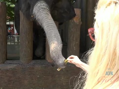 Leie, Blondine, Blasen, Besamung, Fussjob, Pov, Rasiert, Titten