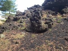 Любители, Минет, Брюнетки, Итальянки, На публике, Тату, Молоденькие, Сиськи