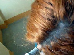 Redhead babe pickedup and banged in pov