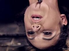 Anal, Bondage domination sadisme masochisme, Beauté, Gros seins, Bondage, Plantureuse, Gorge profonde, Naturelle