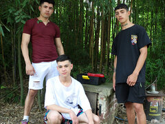 Жопа, Член, Геи