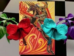 Bondage discipline sadomasochisme, Slaaf