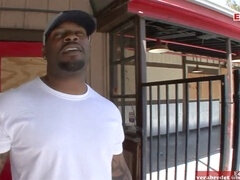 Leie, Schwarz, Aufs gesicht abspritzen, Riesenschwanz, Monster, Muschi, Dürr, Titten