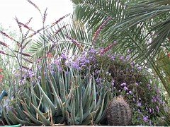 Morena, Masturbación, Estrella porno