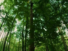 Blasen, Freund, Aufs gesicht abspritzen, Natürlichen titten, Im freien, Pov, Rotschopf, Titten