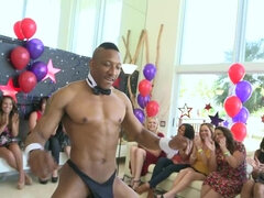 Professional Dancing Bear makes a great show for bored females