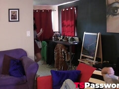 チン, エロティック, ゲイ
