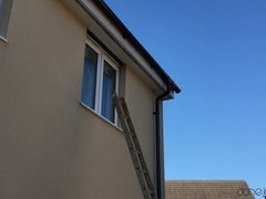 Pijpbeurt, Bedriegen, Hondjeshouding, Zwart, Sperma in gezicht, Buiten, Kut duiken, Billekoek