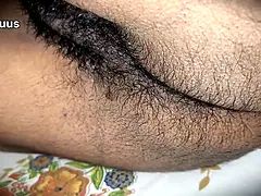 Corrida, Corridas, Peludo, Hd, Indio, Maduro, Coño, Sexo soft