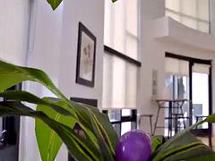 Easter fuck: Blowjob, Missonary  Amateur Porn