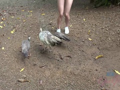指いじり, 露出狂, オーガズム, アウトドア, 小柄, ハメ撮り, 喫煙, のぞき