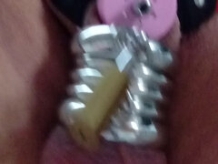 new inverted chastity with rings and lock
