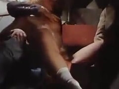 Грудастые, Классика, Смазливые, Глубокая глотка, Член, Зрелые, Киски, Сиськи