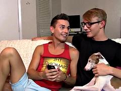Anal, Mamada, Pareja, Gay, Grupo, Sexo duro, Flaco