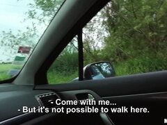 Grote kont, Pijpbeurt, Bruinharig, Lul, Hondjeshouding, Hardcore, Natuurlijke tieten