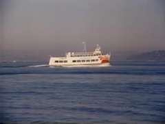 Tante, Mère que j'aimerais baiser, Actrice du porno