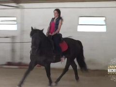 Mamada, Estilo perrito, Divertido, Ducha, Trio