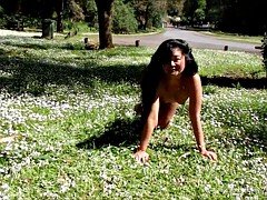 Bed of Daisies