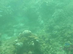 素人, ビキニ, ブロンド, 彼女, 毛深い, ハメ撮り, 公共, 濡れ