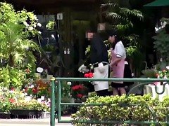 Corridas faciales, Peludo, Japonés, Pequeña, Coño