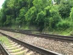 Corridas, Al aire libre, Público