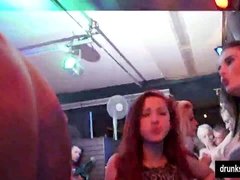 Party, Öffentlich