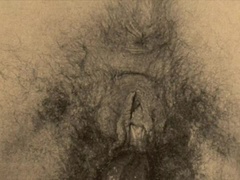 Brother, Erotic, Family, Hairy, Pussy, Retro, Taboo, Vintage