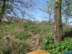 Amateur, Coche, Corrida, Al aire libre, Público, Coño, Pelirrojo