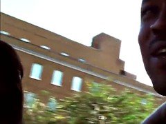 Schönheit, Grosse titten, Schwarz, Gehörnter ehemann, Schwarz