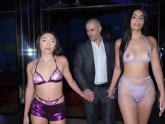 Blonde, Busty, Crazy, Creampie, Hardcore, Interracial, Lingerie, Tits