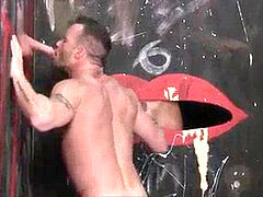 gloryhole sucking apartment