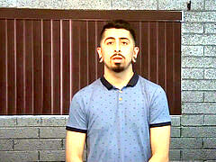 Inexperienced, humping, queer