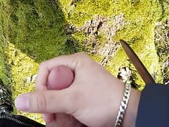 Cum in the Woods