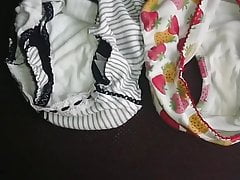 brother wife 's and niece's panties