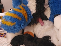 Big Dog Teaches The Little Kitty How To Sit #knot #knotfucking