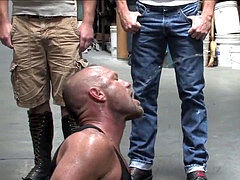 Assfuck, skinluva, gang-fuck