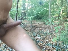 Cock out in the woods