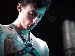 Twink Puppy Breeding Session
